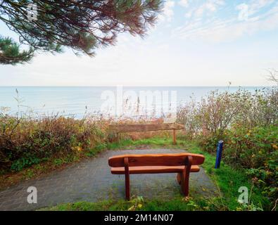 Wooden bench hidden in quiet place under pine trees with amazing view to moody sea. Romantic place for lovers Stock Photo