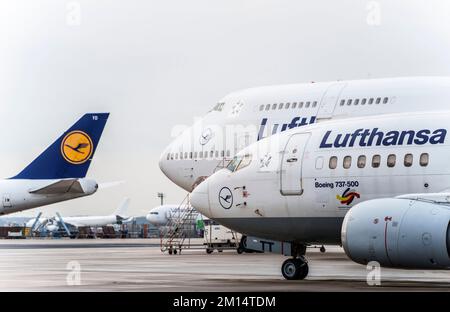 08 December 2022, Hessen, Frankfurt/Main: Lufthansa planes are parked on the apron. Photo: Andreas Arnold/dpa Stock Photo