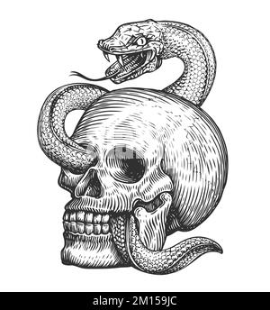 Snake wraps around human skull. Hand drawn sketch in vintage engraving style. Tattoo illustration Stock Photo