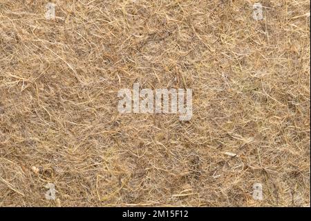 Hemp growing mat, surface and background, close-up, from above. Growth medium, made of industrial and natural hemp fibres. Stock Photo
