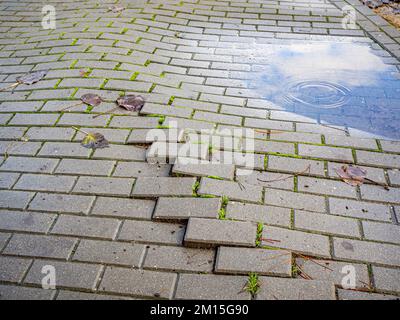 macro broken concrete pathway brick surface background, melancholy concept hd image Stock Photo