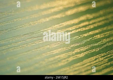 Green wooden background with shiny golden texture. Stock Photo