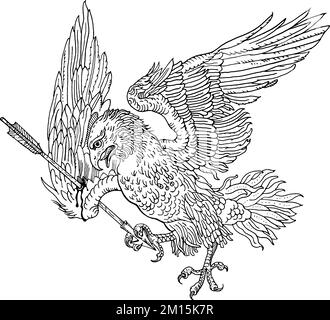 Wounded eagle with an arrow in his wing. Medieval engraving style ink pen black and white illustration. T-shirt, tattoo design, coloring page. Hunting Stock Vector