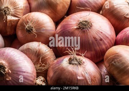 Full frame background of various colorful fresh onions placed together in local market Stock Photo