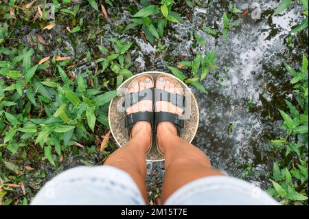 Top view of anonymous female traveler in sandals standing on barrel near brook and green grass during walk in paperbark forest in Agnes Water, Queensl Stock Photo