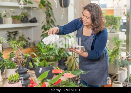 Positive female worker in apron examining potted blooming flowers while working on tablet in shop Stock Photo