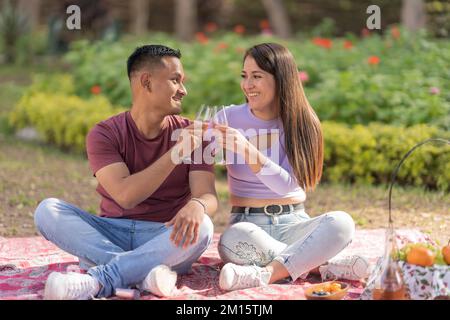 Full body of young couple in casual clothes toasting with wine glasses while enjoying picnic on blanket during weekend day at park Stock Photo