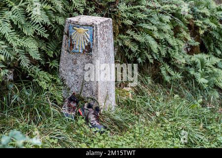 Pair of sneakers placed near weathered concrete signpost with stylized scallop shell against green fern leaves on Way of St James in Galicia, Spain Stock Photo