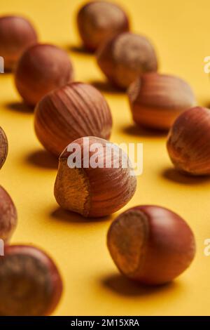 Top view of natural hazelnuts in shells arranged in lines on yellow background Stock Photo