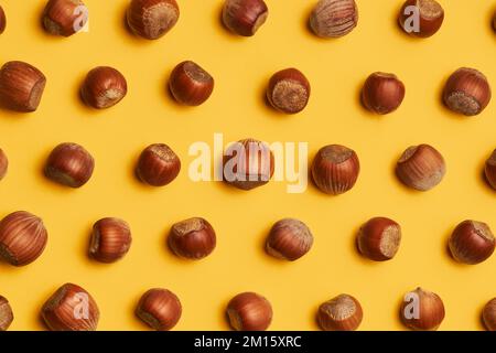 Top view of natural hazelnuts in shells arranged in lines on yellow background Stock Photo