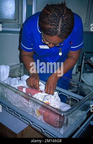 Delivery Room in Hospital Midwife  Giving New Born Baby Vitamin K Injection Stock Photo