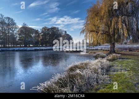 Frosty Christmas time at leg of mutton pond in Bushy Park Surrey Stock Photo