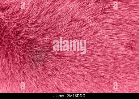 Blue fur background Stock Photo