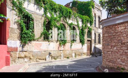Exterior of old abandoned building, with weathered stone wall, and wrought iron windows, covered with climber plants, in a narrow alley with cobblestone floor, Balat district, Istanbul, Turkey Stock Photo