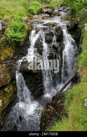 Severn-Break-its-Neck Waterfall on River Severn in Hafren Forest near Llanidloes, Powys, Central Wales, UK Stock Photo