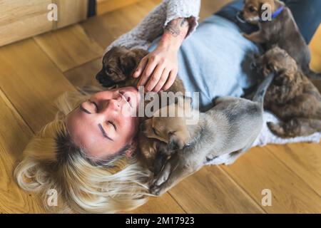 Woman covered with puppies. Indoor top view of young adult blond woman with closed eyes lying down on wooden floor covered with adorable brown puppies jumping all over her body. Human and animals. High quality photo Stock Photo