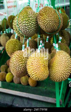 Durian fruit in fruit market in Asia. The durian is the edible fruit of several tree species belonging to the genus Durio Stock Photo