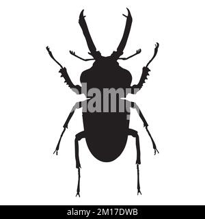 Vector Illustration of Beetle Silhouette Stock Vector