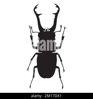 Vector Illustration of Beetle Silhouette Stock Vector