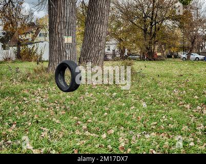 A black tire swing hangs from a tree in a lot where a house once stood in a Detroit neighborhood. Stock Photo