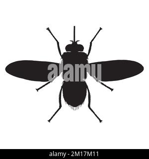 Vector Illustration of Tsetse Fly Silhouette Stock Vector