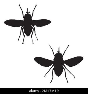 Vector Illustration of Tsetse Fly Silhouette Stock Vector