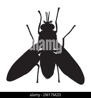 Vector Illustration of Tsetse Fly Silhouette Stock Vector