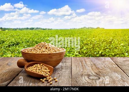 soybeans in ceramic bowl and wooden scoop on table with green field as background Stock Photo
