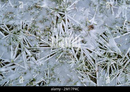 Ice and grass pattern. Cotswolds, Glouchestershire, England Stock Photo