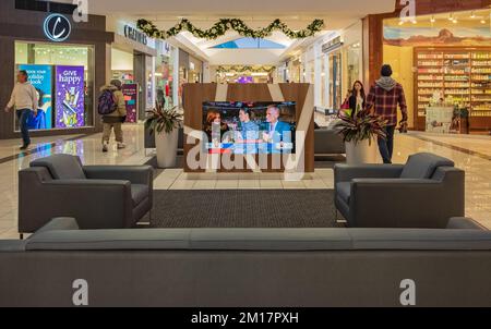 Rest zone with sofas, TV and trees in shopping mall Guildford Surrey BC Canada-December 8,2022. Street photo, selective focus Stock Photo