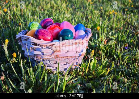 Easter eggs in wicker basket on green meadow Stock Photo