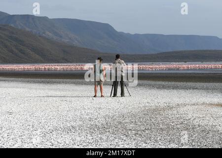 Photographer taking pictures of flamingos (Phoenicopteridae) at Lake Nakuru, Salt Lake, Rift Valley, Kenya, Africa Stock Photo