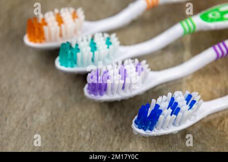 Colorful toothbrushes in the bathroom Stock Photo