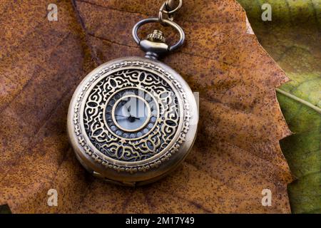 Retro style pocket watch placed on a dry leaves Stock Photo