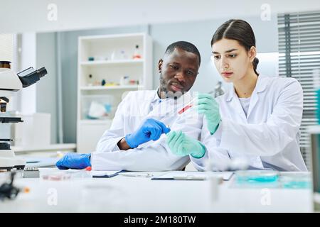 Portrait of two young technicians working with medical samples in laboratory, copy space Stock Photo