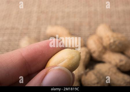 Peanuts in hand and on a linen canvas background Stock Photo