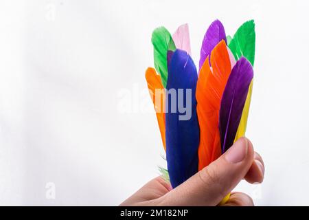 Studio shot bird feathers in hand on white background Stock Photo