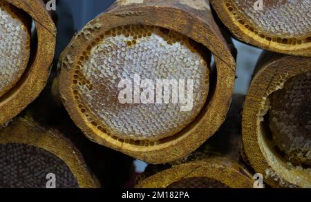 Honeycomb from round beehive with sweet honey Stock Photo