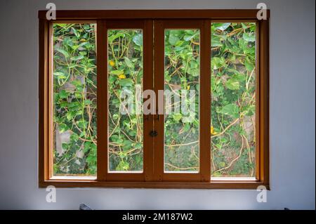 Wooden window lattice overgrown with greenery background Stock Photo