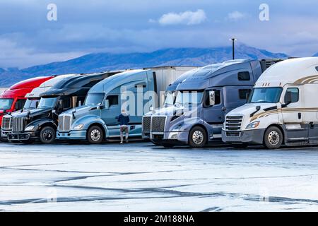 Truck driver owner operator walks towards his comfort big rig semi truck standing in a row with other semi trucks with semi trailers taking break on t Stock Photo