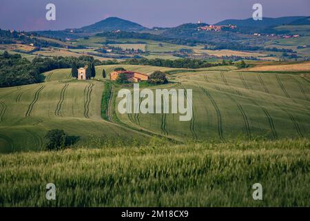 Beautiful Tuscany landscape with cultivated grain fields. Cute Vitaleta chapel and Monticchiello in background, Tuscany, Italy, Europe Stock Photo