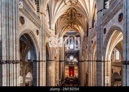 Salamanca, Spain - January 14, 2022: Cathedral of Salamanca. Interior view of the nave and the vaults Stock Photo