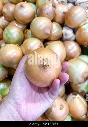 Woman's hand holding yellow onion in the palm of her hand. Top view. Stock Photo