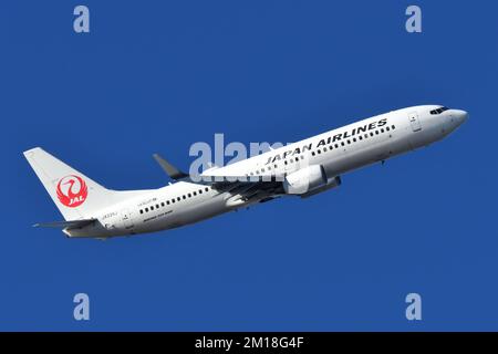Tokyo, Japan - December 26, 2020: Japan Airlines (JAL) Boeing B737-800 (JA335J) passenger plane. Stock Photo