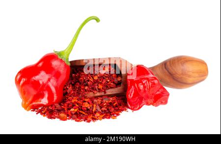 Fresh and dry ground red chili peppers isolated on white background. Capsicum baccatum or Bishop's crown pepper Stock Photo
