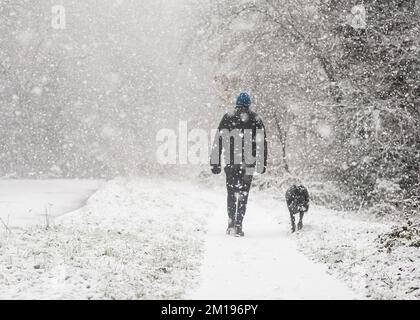 Kidderminster, UK. 11th December, 2022. UK weather: Snow hits the Midlands! Walkers out for a Sunday stroll are met with a heavy snow storm. A dog owner, wrapped up in a warm coat, hat and gloves, braves the cold walking her pet dog, Max - a border collie cross, on the towpath alongside a frozen Worcestershire canal. Credit: Lee Hudson/Alamy Live News Stock Photo