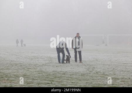 London, UK, 11 December 2022: Freezing temperatures have brought thick fog and an unusually hard frost to London. On Wandsworth Common dog walkers are still obliged to go for walks no matter how cold it is. Anna Watson/Alamy Live News Stock Photo