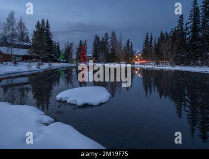 Christmas decorated trees on Spring Creek in the town of Canmore, Alberta, Canada Stock Photo