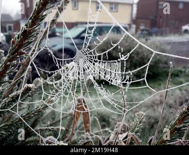 A Close Up of a Frozen Frosty Spiders Cobweb on a Misty Dew Morning Stock Photo