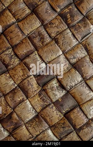 Ancient braided background Stock Photo